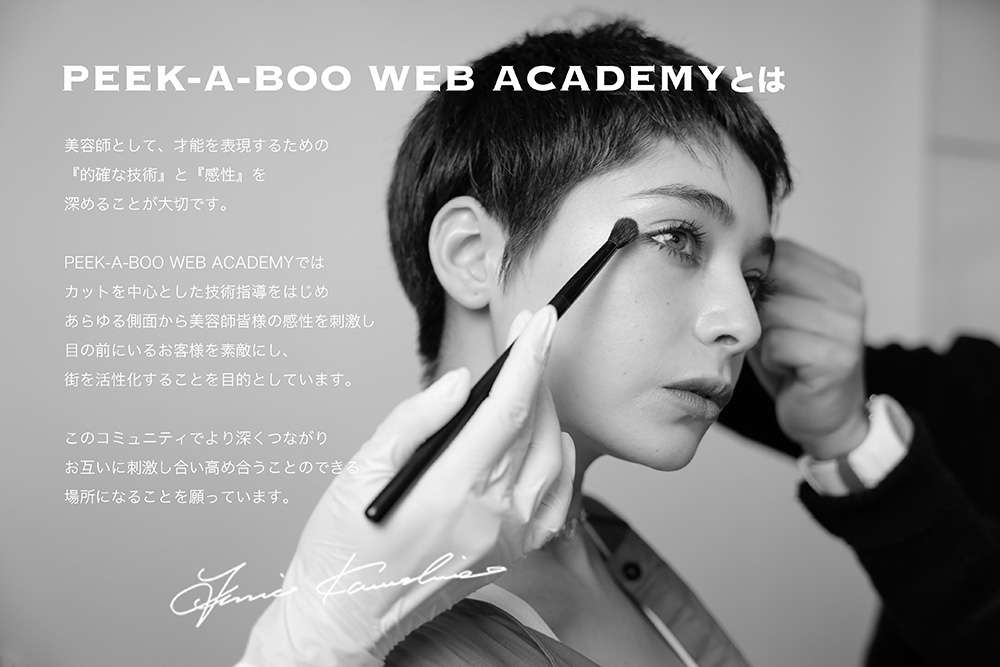 PEEK-A-BOO web academy